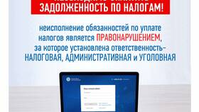 Что означает отрицательное сальдо по налогам в Аскона