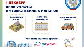 Как оплатить налоги через Госуслуги в Аскона