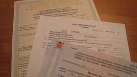 Как подать документы на квартиру в Аскона