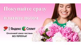 Как сервис Splin списывает деньги с Яндекс.Кошелька в Аскона